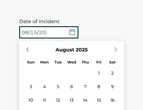 An image of a date picker input receiving focus by the user’s cursor. The user has partially typed a date inside the input.