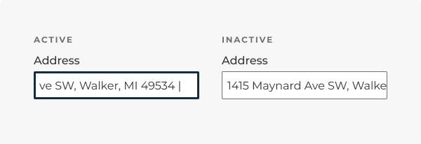 An example of text overflow in an input.
