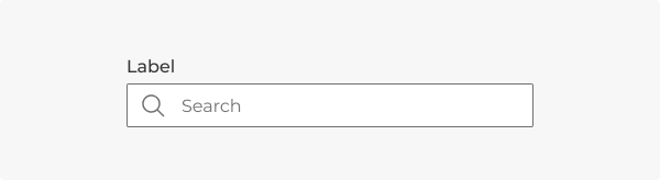 A search input with a leading icon, as described in the caption.